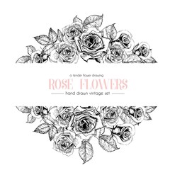 Vector hand drawn template illustration of roses isolated on white background. Vintage flowers engraved collection.