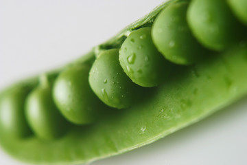 Green Peas in Pod Macro