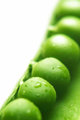 Peas Detail