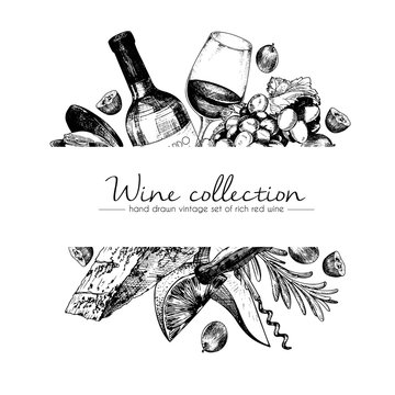 Naklejka Vector hand drawn template illustration of wine and appetizers. Bottle, glass, corcksrew, cheese, fruits ans cpices. Vintage engraved style art. For restaurant, menu, shop, market, sale.