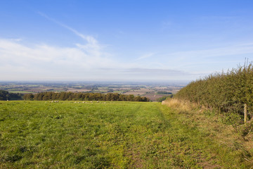 vale of york from a green meadow