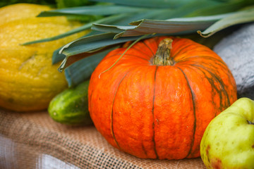 Fresh organic vegetables - pumpkin, zucchini, cucumber, leek. Autumn. Harvest. Selective focus