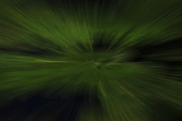 Mouvement fusionnel / Effet de zoom sur des n&eacute;nuphars