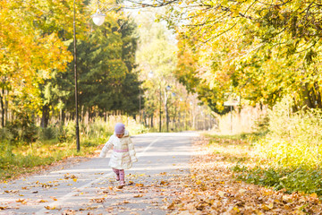 Little baby girl in the autumn park
