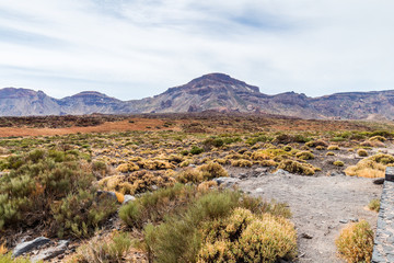 Teide National Park, Tenerife, Spanish Canary Islands showing the weathered red volcanic soil closely resembling that on Mars which has resulted in this becoming a testing ground for Mars projects