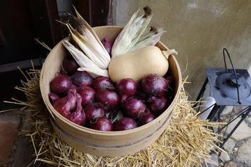 farmer´s basket with red onions and corn © papermoonstudio