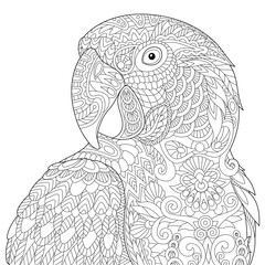 Stylized macaw (arara) parrot, isolated on white background. Freehand sketch for adult anti stress coloring book page with doodle and zentangle elements.