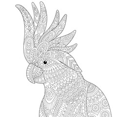 Stylized cockatoo (kakadu) parrot, isolated on white background. Freehand sketch for adult anti stress coloring book page with doodle and zentangle elements.