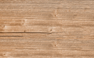 Fototapeta premium Wood texture natural. Lining boards wall. Wooden background pattern. Showing growth rings
