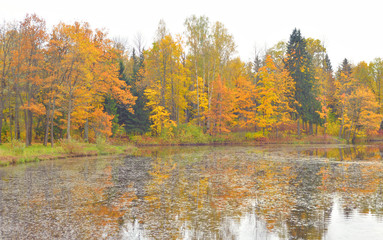 Park and pond at autumn.