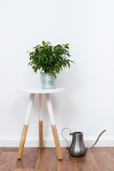 simple decor objects, minimalist white interior