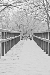 bridge in the snow on a winter day black and white