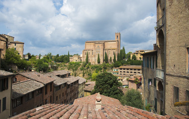 Toits de Sienne ,Basilique Saint François au loin
