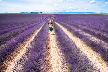 Landscape view with girl running on the lavender field in Provence