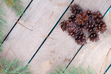Wooden background with pine cones