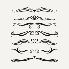 Vector set of elegant curls and swirls. Elements for design.