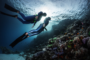 Two freedivers swimming underwater over vivid coral reef. Red Sea, Egypt