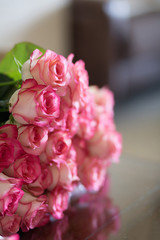 Bouquet of Beautiful Pink Roses, shallow DOF, selective focus