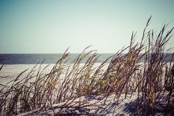 summer beach