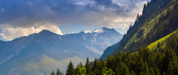 Ein Berg mit Wald vor dem Pitztaler Gletscher im Sommer