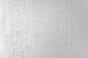 Paper texture background. Blank canvas