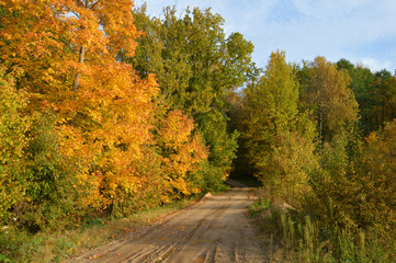Брянская осень.Октябрь