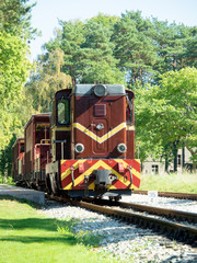 Narrow-gauge railway