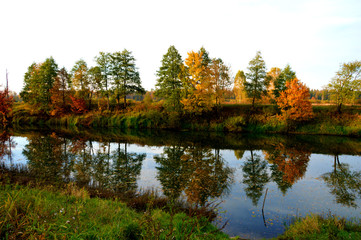 Брянская осень.Октябрь