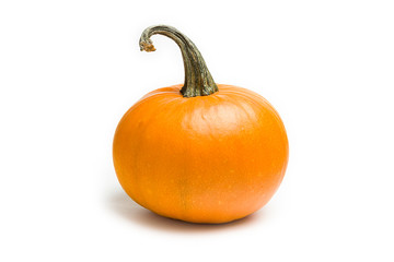 Obraz premium Fresh orange pumpkin on white background