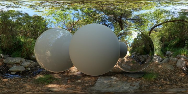 Topanga Forest B