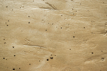 Beach Sand