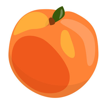 sweet tasty peach isolated vector illustration