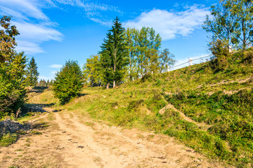 Fototapeta premium path on hillside meadow in mountain