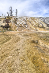 Mammoth Hot Springs, Yellowstone National Park