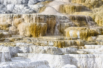Mammoth Hot Springs, Yellowstone National Park