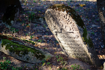 Old jewish cemetery, Poland
