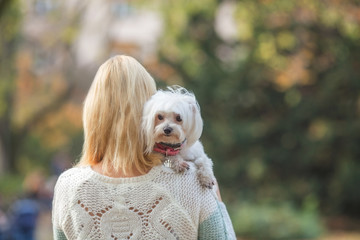 Rear view of a blond woman walking in a park and carrying her cute little dog on a shoulder