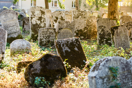 Old jewish cemetery, Poland