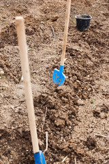  Blue shovels in dirt