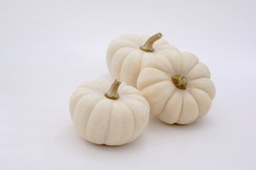 ホワイトパンプキン