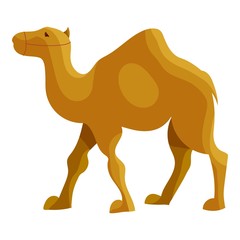 Camel icon in cartoon style isolated on white background vector illustration