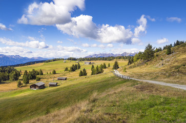 Almlandschaft in Südtirol