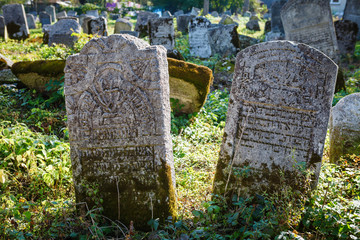 Old jewish cemetery, Poland