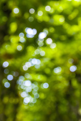 Abstract circular green bokeh background © katatonia