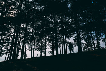Silhouette of man in forest