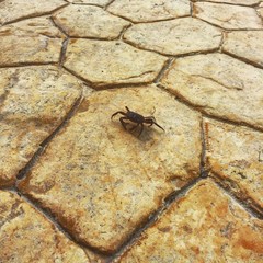 Life by Elad's iPhone 