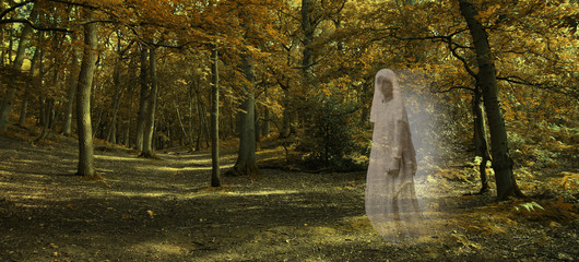 Ghostly figure gliding through Autumn Forest  - Wide autumnal woodland scene with a transparent...