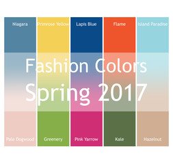 Blurred fashion infographic with trendy colors of the 2017 Spring. Niagara,Primrose Yellow,Lapis Blue,Flame,Island Paradise,Pale Dogwood,Greenery,Pink Yarrow,Kale,Hazelnut. Gradient mesh