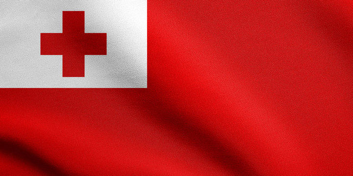 Flag of Tonga waving with fabric texture