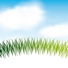 Fototapeta premium nature grass field background vector illustration design